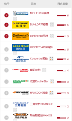十大熱門(mén)輪胎品牌網(wǎng)店名單- 綜合新聞- 中國(guó)輪胎商業(yè)網(wǎng)